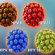 Illustration for article titled Obat Herbal Untuk Mematikan Virus HPVem/em